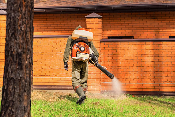 Bed Bug Clearance Verification and Documentation in Bainbridge